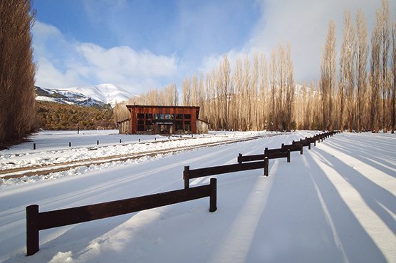 Alameda nevada hacia el Club House